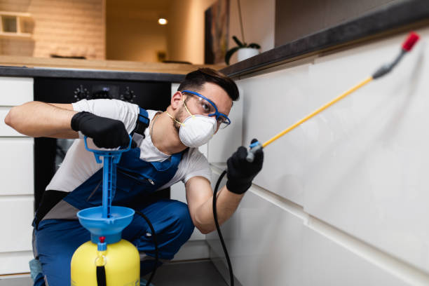 Best Pest Removal Services  in Southern View, IL