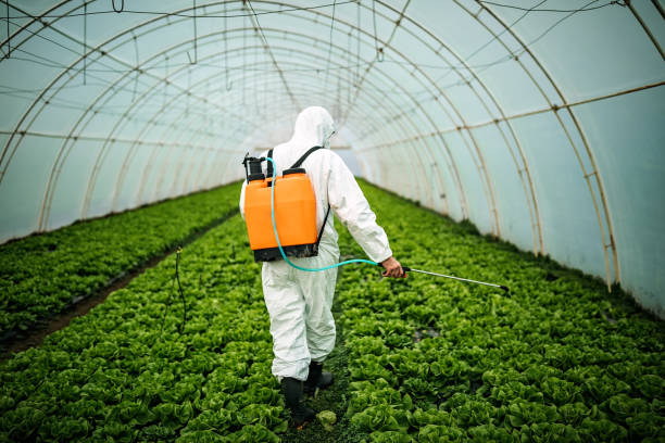 Best Pest Inspection Near Me  in Southern View, IL