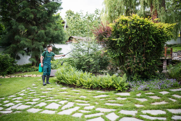 Best Mosquito Control Services  in Southern View, IL