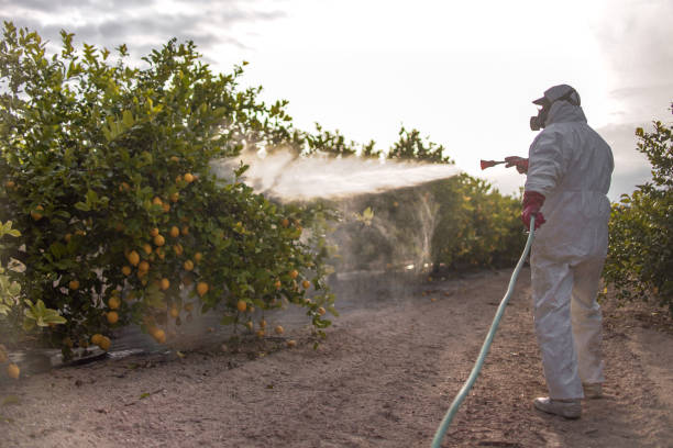 Best Pest Inspection Near Me  in Southern View, IL
