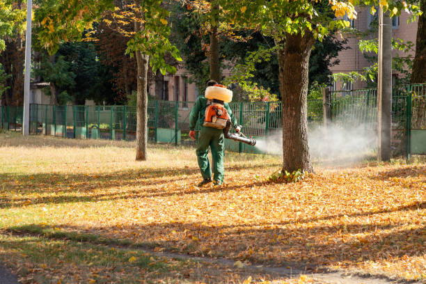 Southern View, IL Pest Control Company