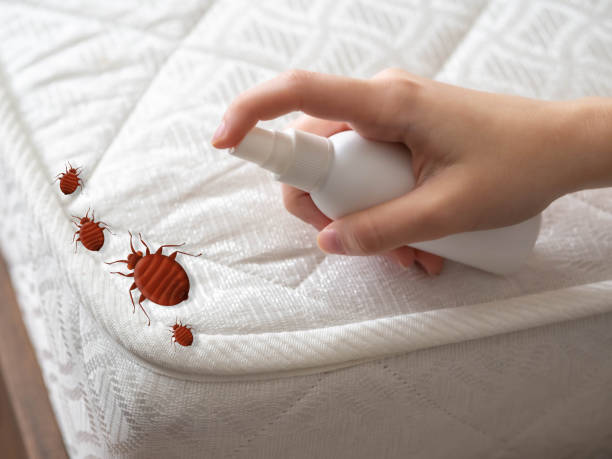 Best Residential Pest Control  in Southern View, IL