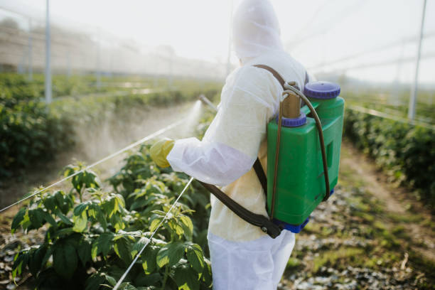 Best Best Pest Control Near Me  in Southern View, IL